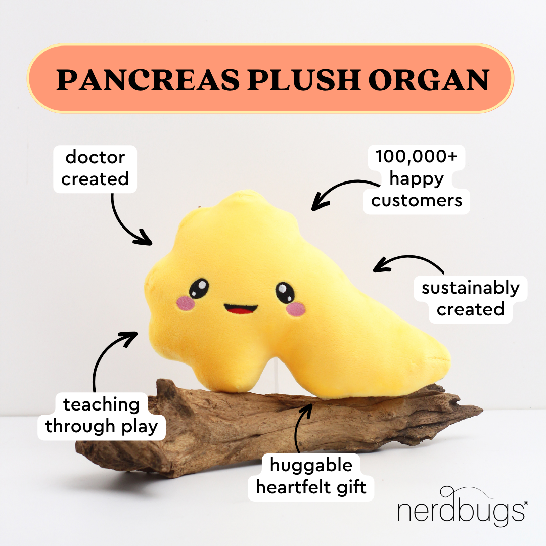 nerdbugs pancreas plush organ with labels doctor created teaching through play sustainably created huggable heartfelt gift 100000 plus happy customers