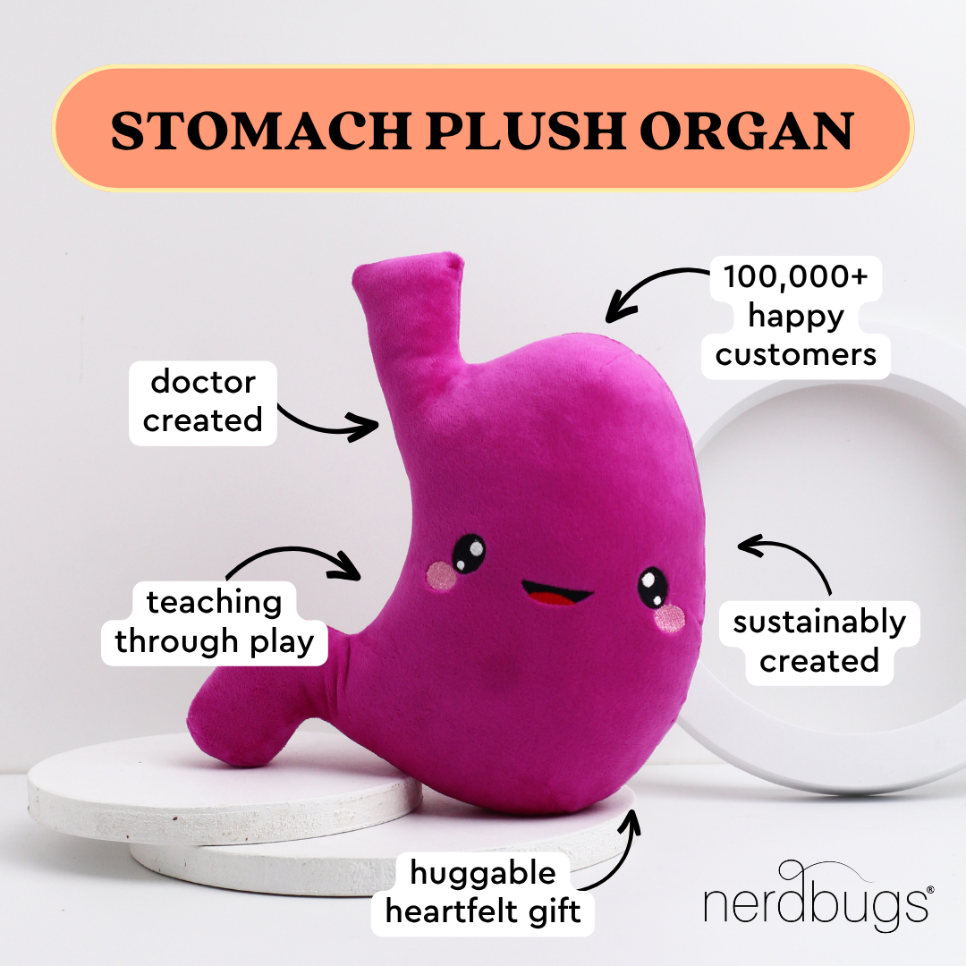 Stomach Plush Organ- Nerdbugs Stomach Plushie Organ Toys-I've gut a good feeling about this