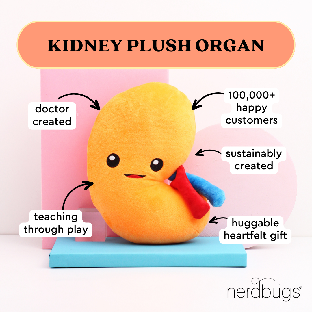 Kidney Plush Organ - Nerdbugs Kidney Plushie Organ - Urine for a treat!