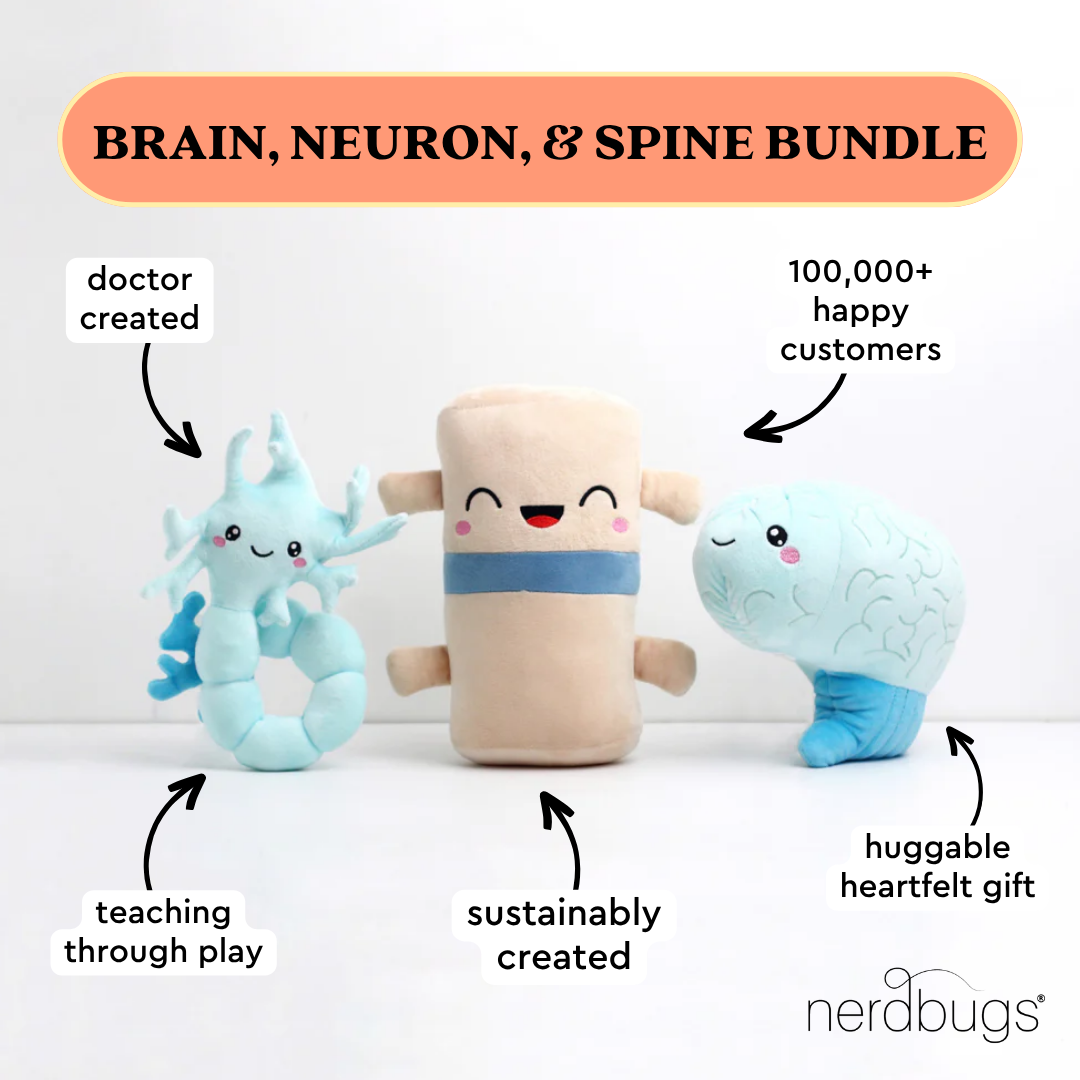 nerdbugs brain neuron and spine plushies bundle