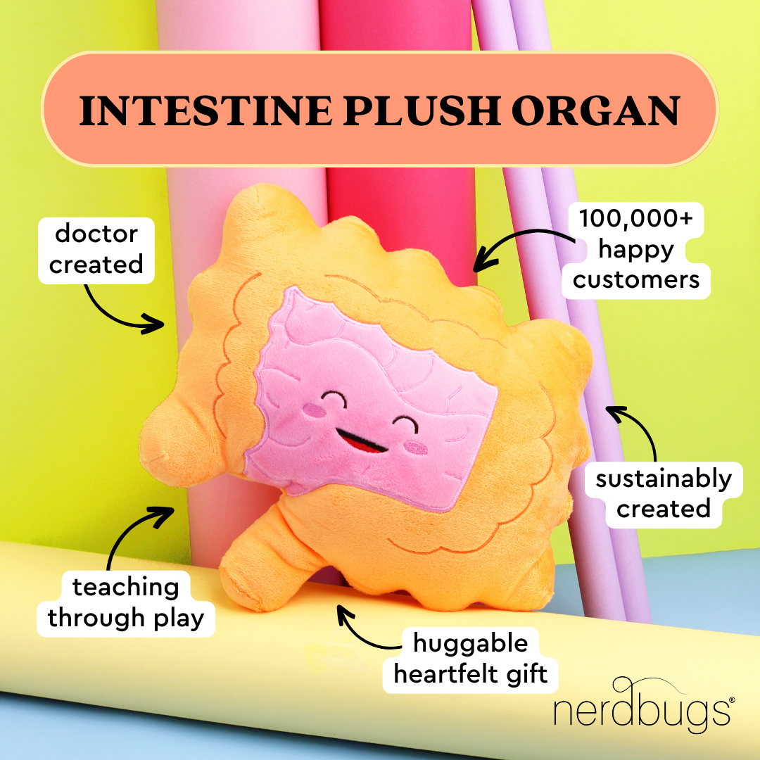 Intestines Plush Organ - Nerdbugs Colon/Intestine Plushie Organ - Intestined for Greatness!