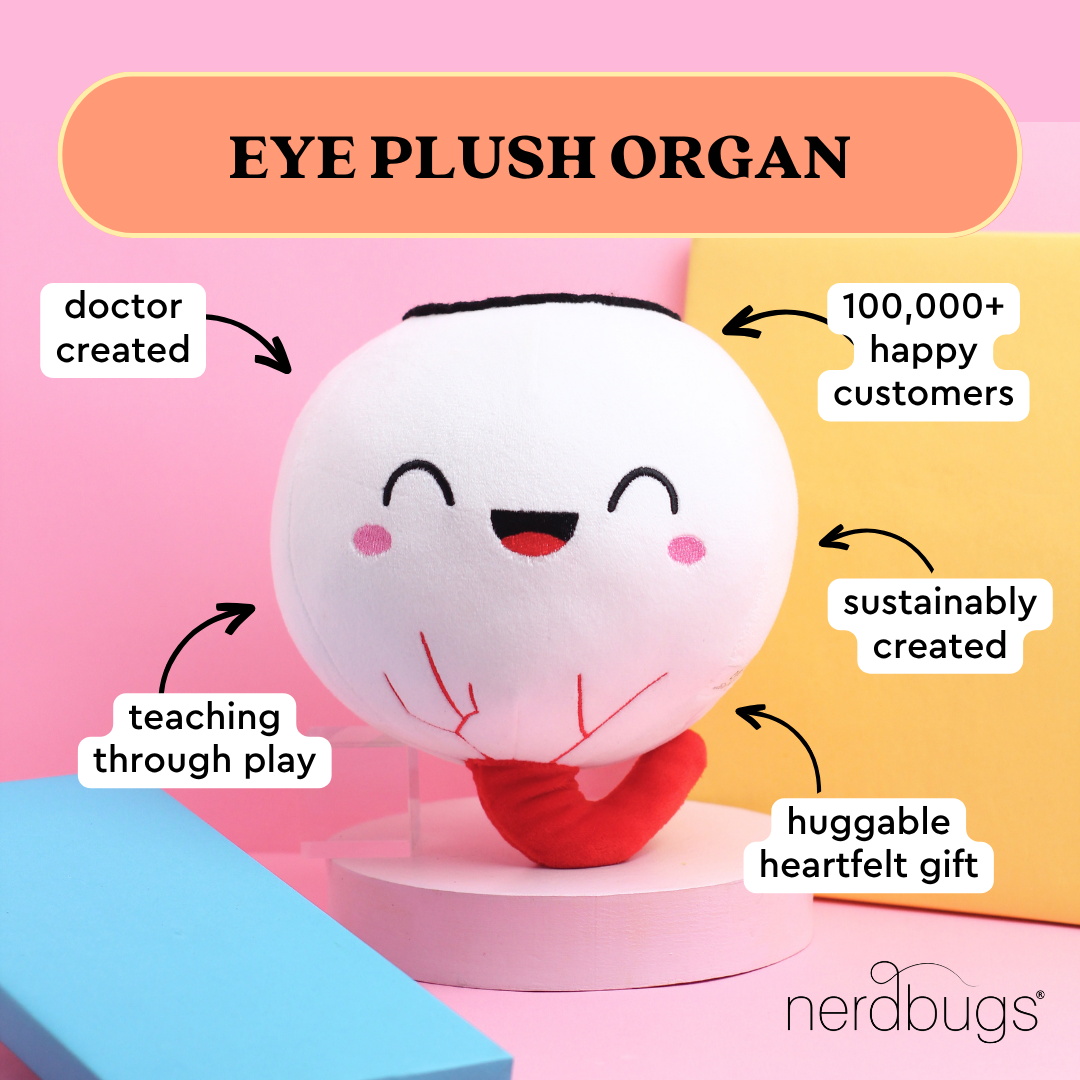 Eye Plush Organ - Nerdbugs Eye Plushie Organ- Can't take my eyes off of you!