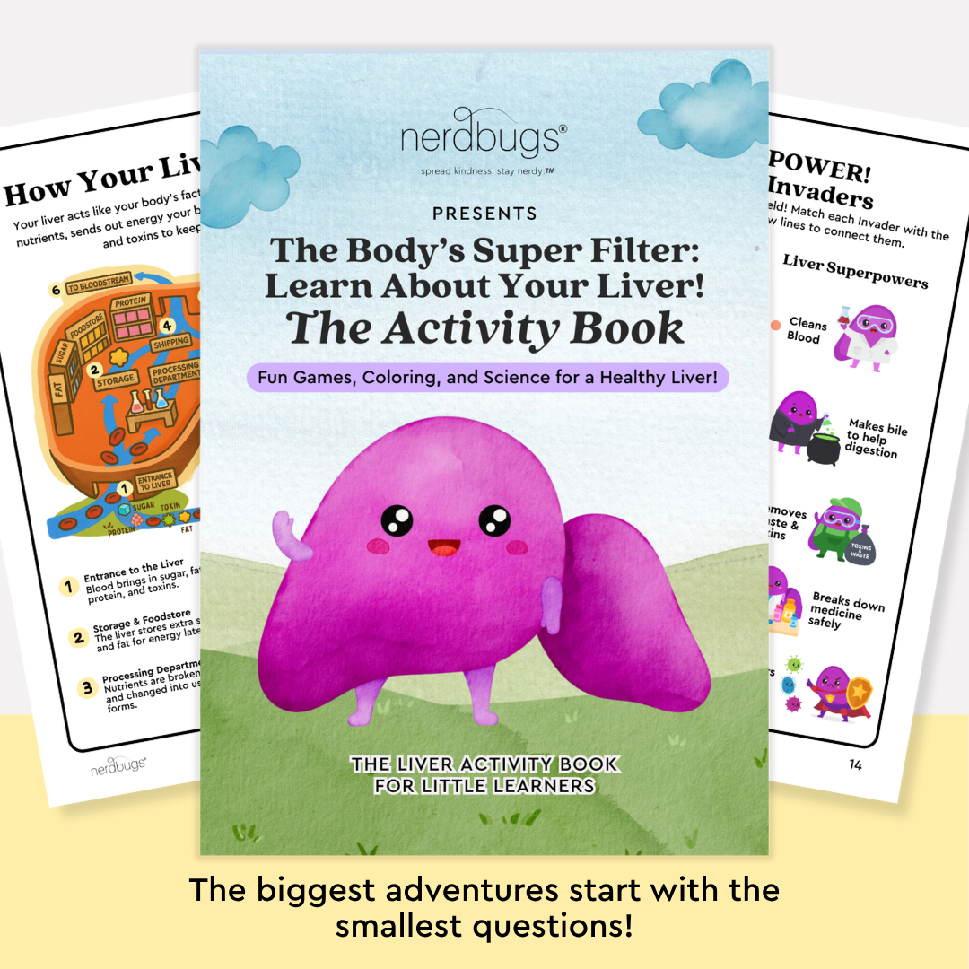 Liver Plush Learning Activity Kit (Plushie + Digital Download)