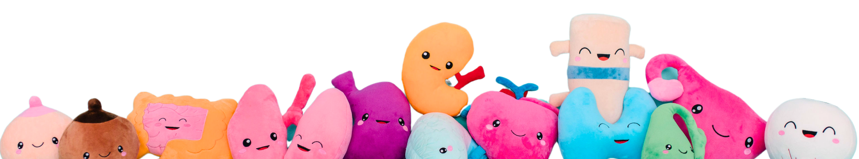 a group of various nerdbugs organ plushie