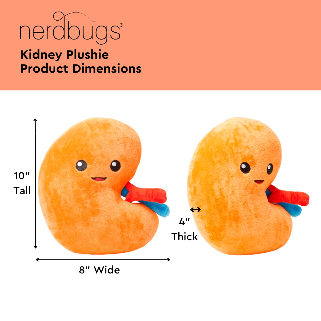 Kidney Plush Organ - Nerdbugs Kidney Plushie Organ - Urine for a treat!