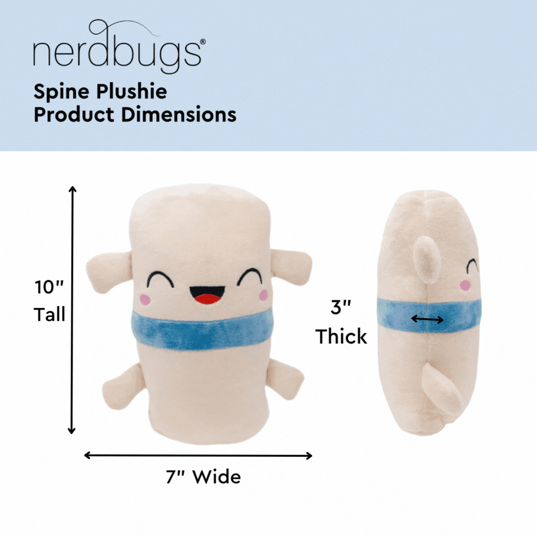 nerdbugs brain neuron spine plushies product dimensions