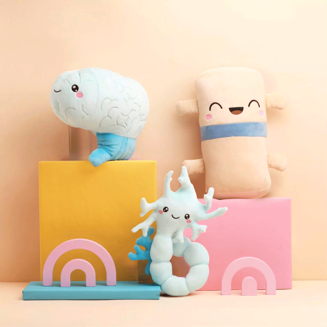 Brain, Neuron, & Spine Bundle- We Have A Connection