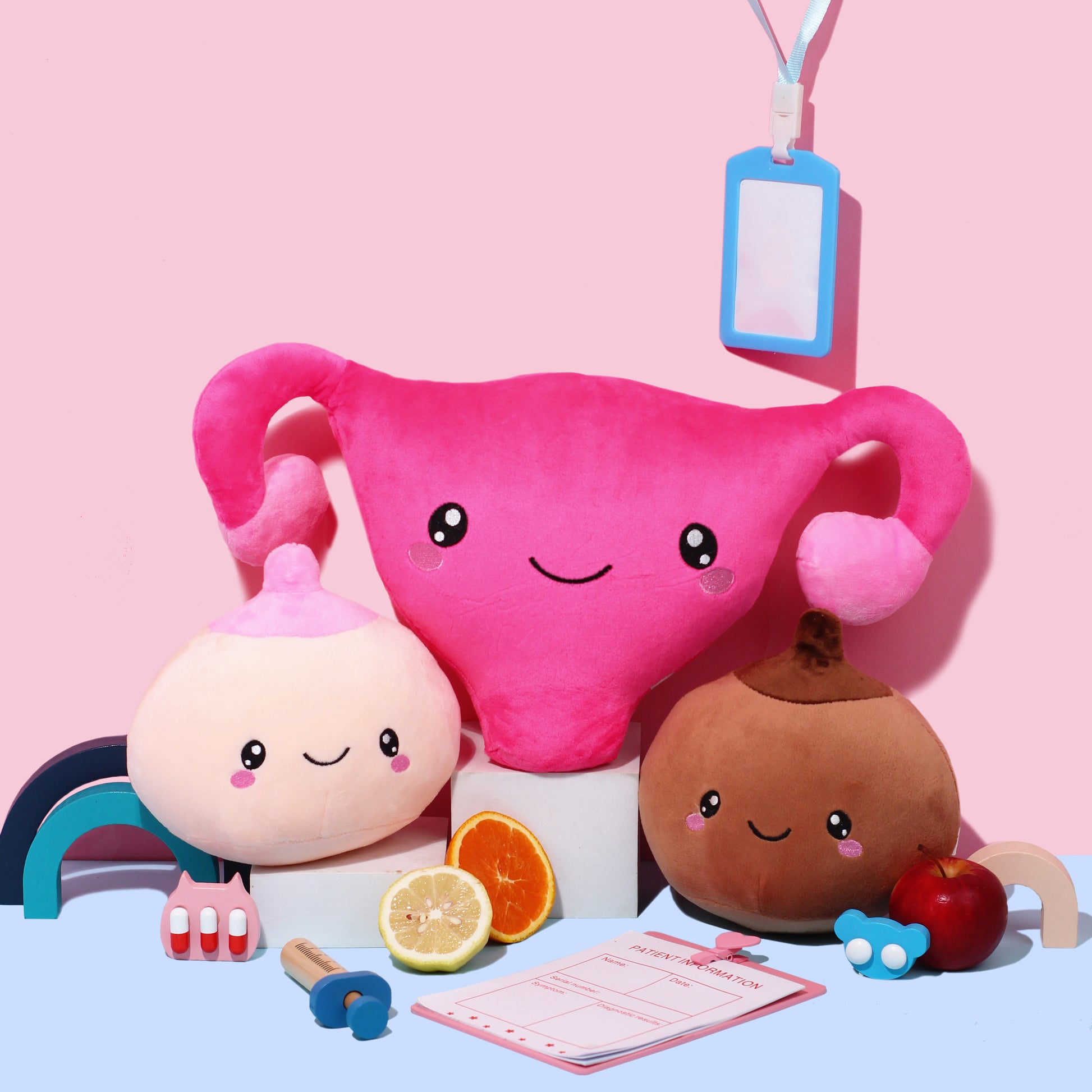 Boobs and Uterus Plushies with medicine, syringe, patient information card, apple, oranges, and id toys