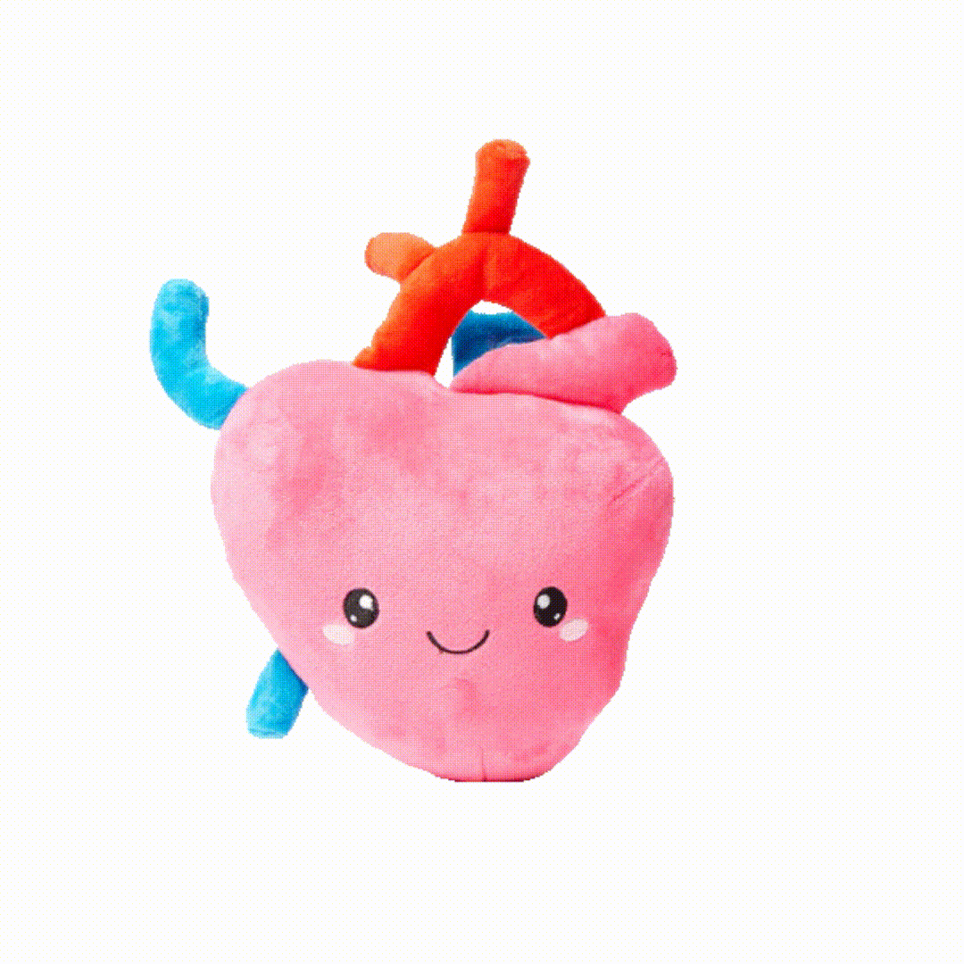 GIFs of brain, lung, tooth and eye toy plushies