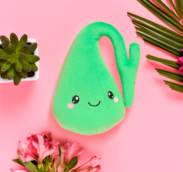 Gallbladder organ toy plushie