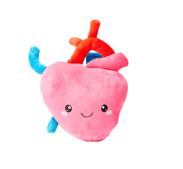 Heart organ toy plushie