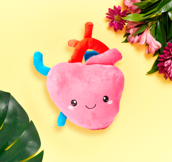 GIF of heart organ toy plushie with flower and leaves on the side