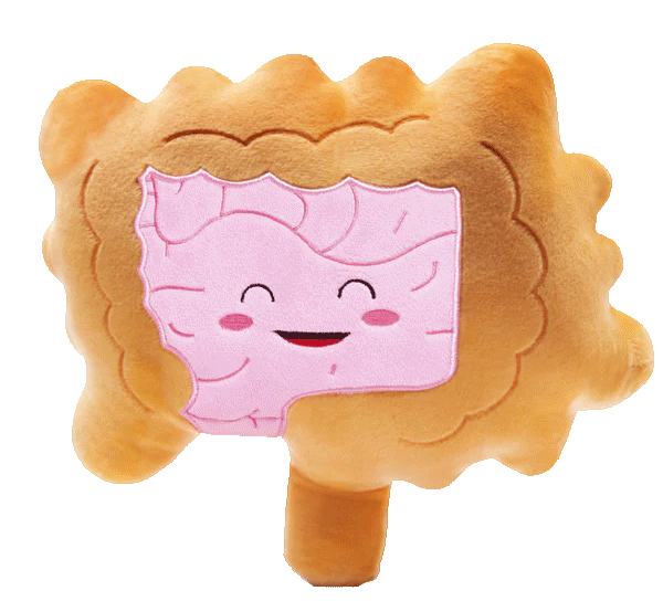 GIF of intestine toy plushie