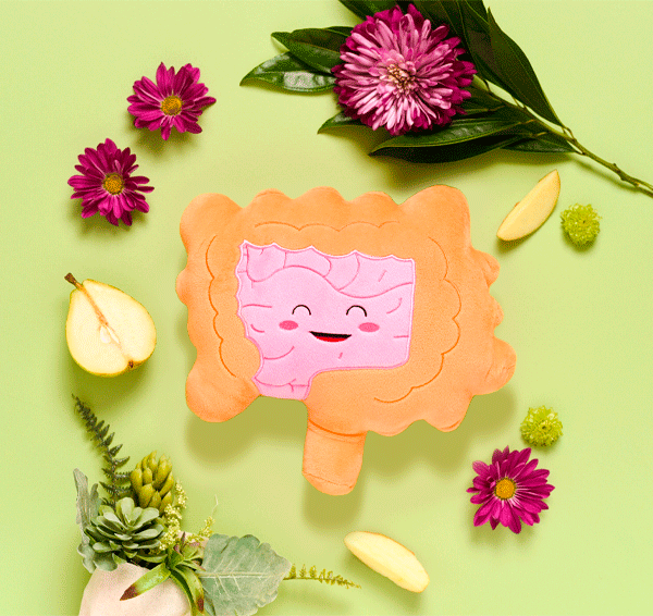 Intestine organ toy plushie in yellow background surrounded with fruits and flowers