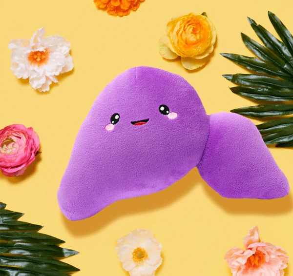 Liver toy plushie in yellow background surrounded with leaves and flowers