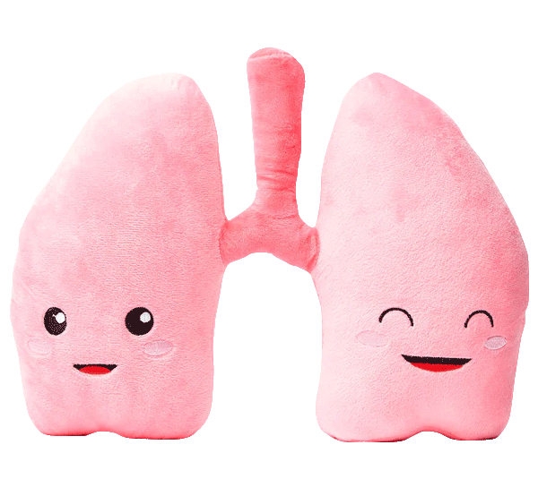 Lung toy plushie