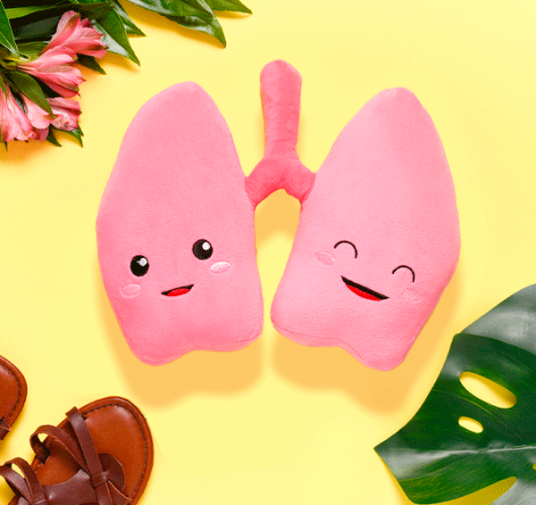 Lung Plush Organ  - Nerdbugs Lung Plushie Organ - We be lung together!