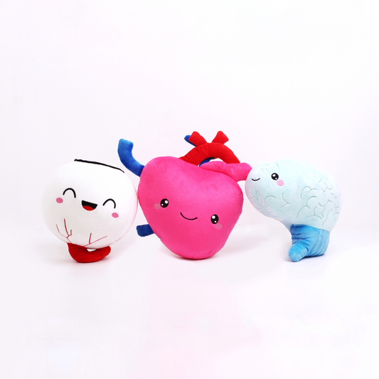 Eye, heart and brain plushie displayed accordingly and 
poses for photo op.