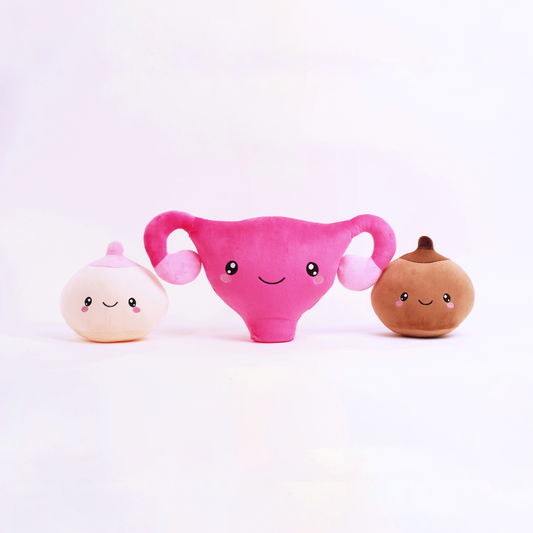 Uterus, ivory breast and tan breast plushies in white background