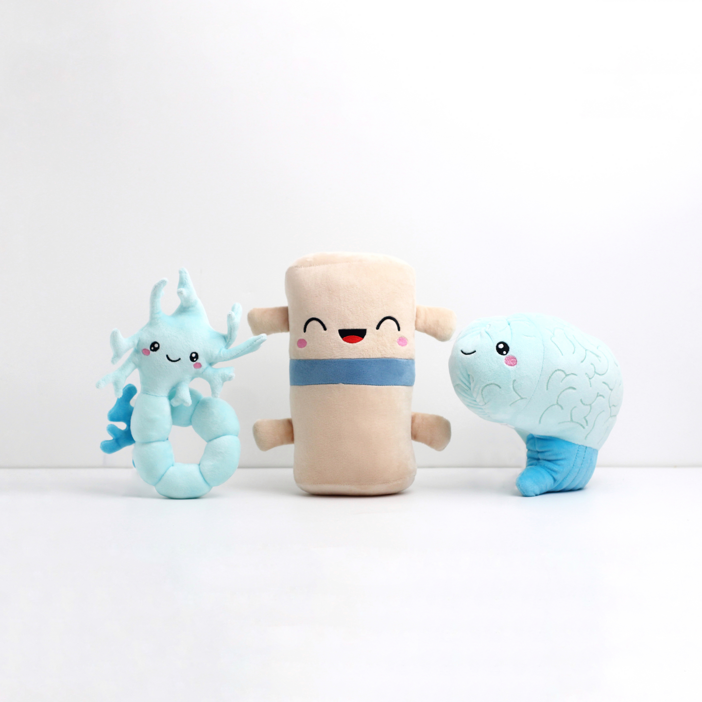 Neuron, Spine, and Brain plushie poses for photo op.