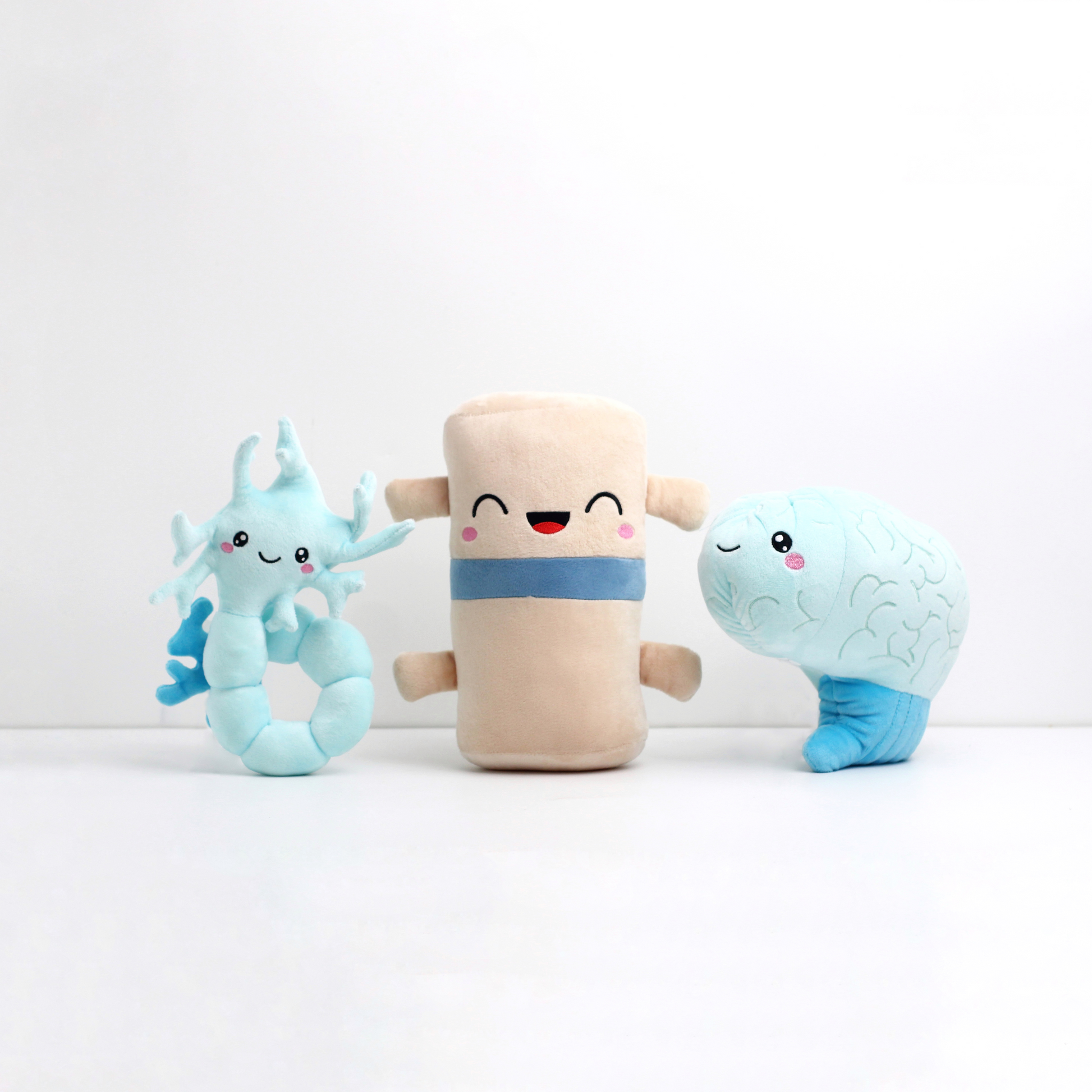 Neuron, Spine, and Brain plushie poses for photo op.