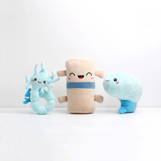 Neuron, Spine, and Brain plushie poses for photo op.