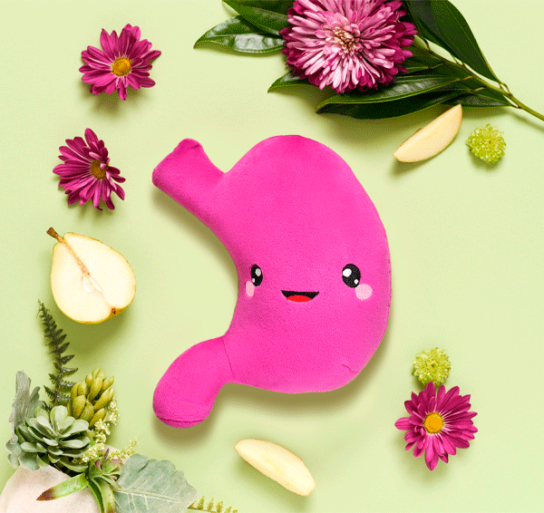 Stomach toy plushie surrounded with flowers and fruits