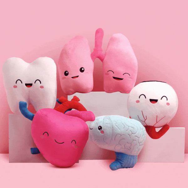 Organ plush best sale dolls