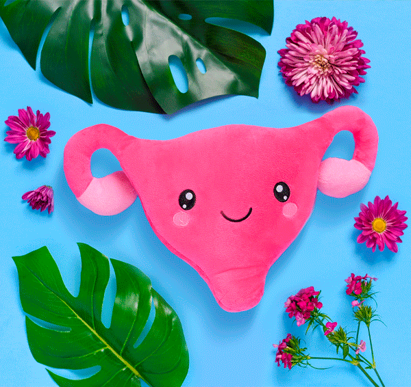 GIF of uterus toy plushie surrounded with leaves and flowers