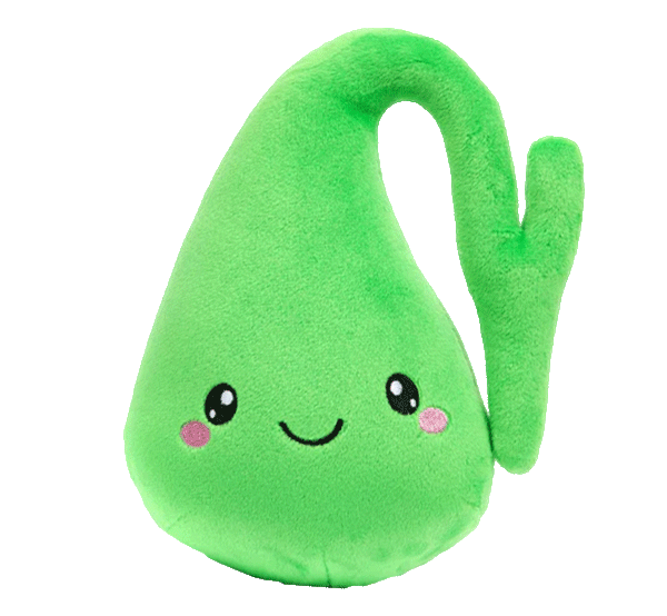 Gallbladder Plush Organ - Nerdbugs Gallbladder Plushie Organ - Who you gonna gall? Stone busters!