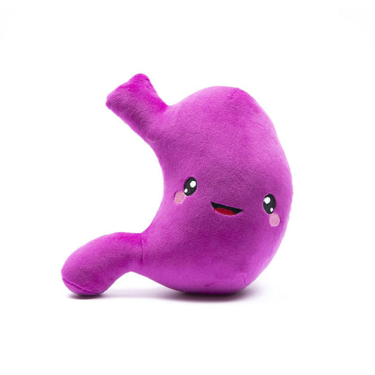 Stomach Plush Organ Toys- I’ve Gut a Good Feeling About This! - Nerdbugs Stomach Plushie Organ - Nerdbugs Plush Toy Organs