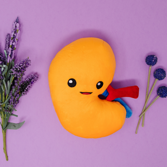 National Kidney Month