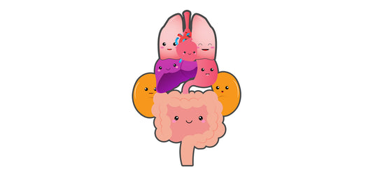 New Nerdbugs Coming Soon