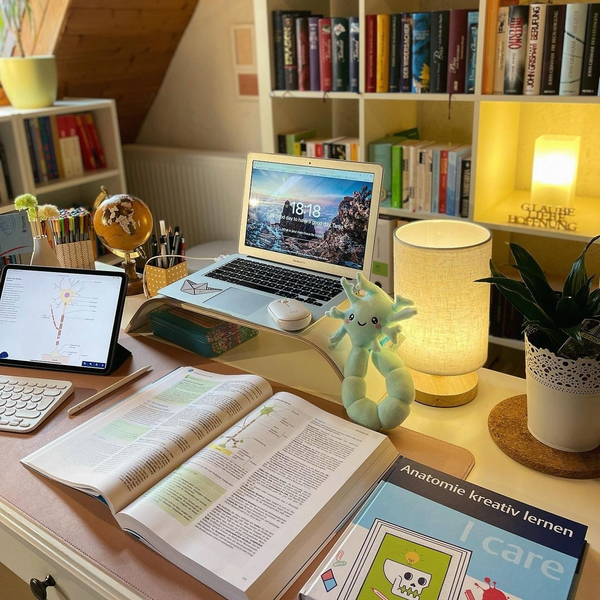 Study Space Upgrade: 10 Essentials That'll Make Studying a Breeze!