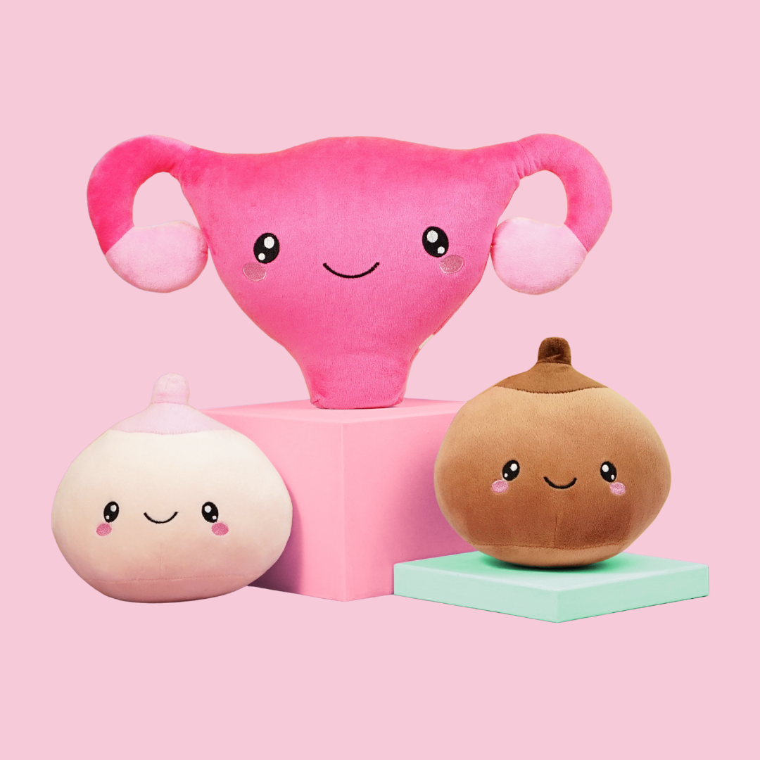 Reproductive Organ System