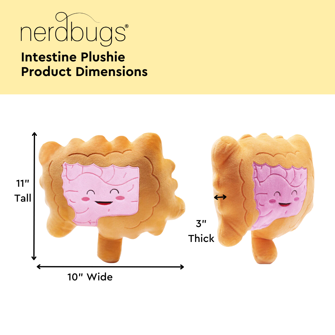 nerdbugs intestine plushie product dimensions 11 inches tall 10 inches wide 3 inches thick