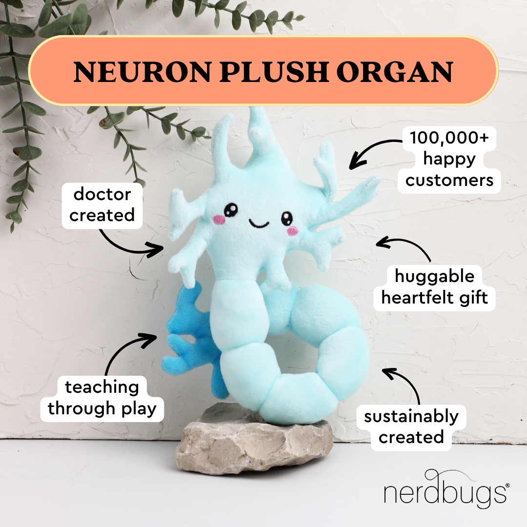 nerdbugs neuron plush organ with labels doctor created teaching through play sustainably created huggable heartfelt gift 100000 plus happy customers