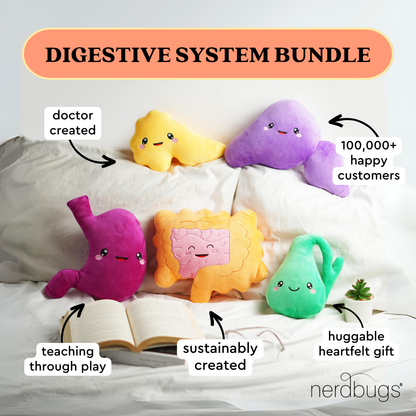 Digestive System Bundle- Smells Like Digestive Spirit