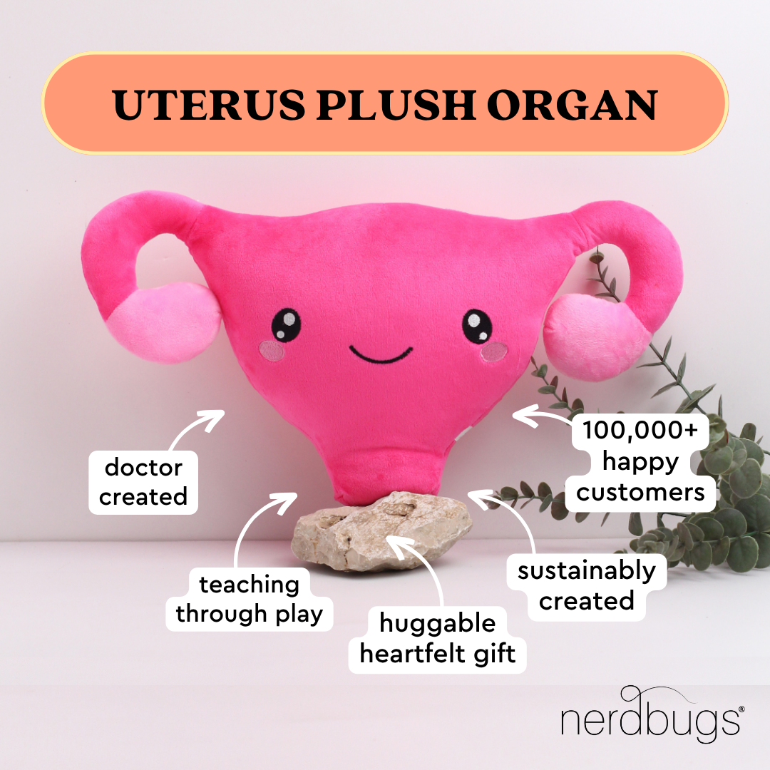 Nerdbugs uterus plush organ with labels doctor created teaching through play sustainably created huggable heartfelt gift 100000 plus happy customers