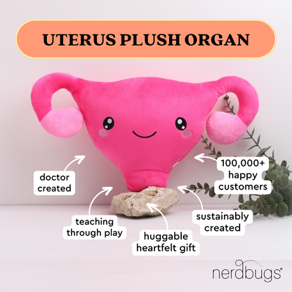 Nerdbugs uterus plush organ with labels doctor created teaching through play sustainably created huggable heartfelt gift 100000 plus happy customers