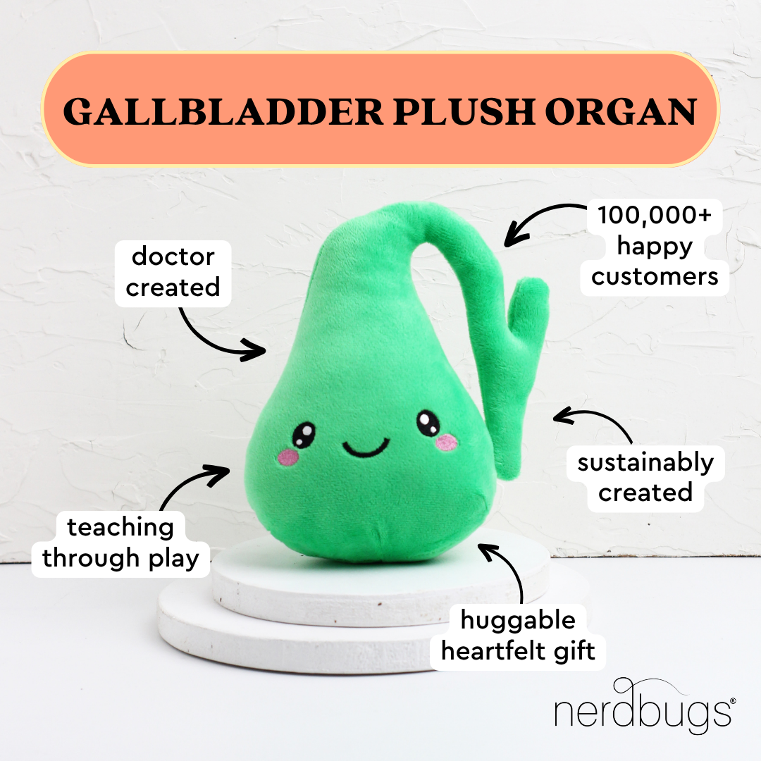 nerdbugs gallbladder plush organ with labels doctor created teaching through play sustainably created huggable heartfelt gift 100000 plus happy customers