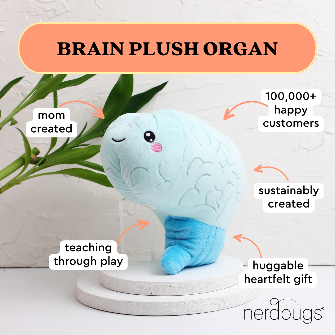 Brain Plush Organ - Nerdbugs Brain Plush Organ- Love on the brain!