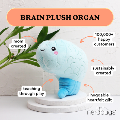 Brain Plush Organ - Nerdbugs Brain Plush Organ- Love on the brain!