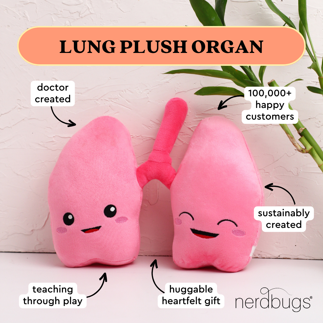 nerdbugs lung plush organ with labels doctor created teaching through play sustainably created huggable heartfelt gift 100000 plus happy customers