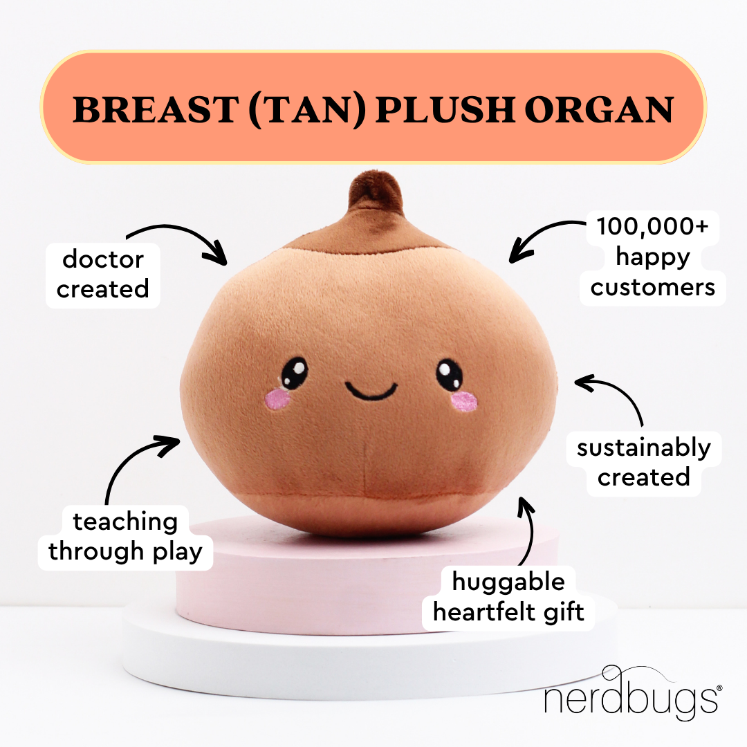 nerdbugs breast tan plush organ with labels doctor created teaching through play sustainably created huggable heartfelt gift 100000 plus happy customers