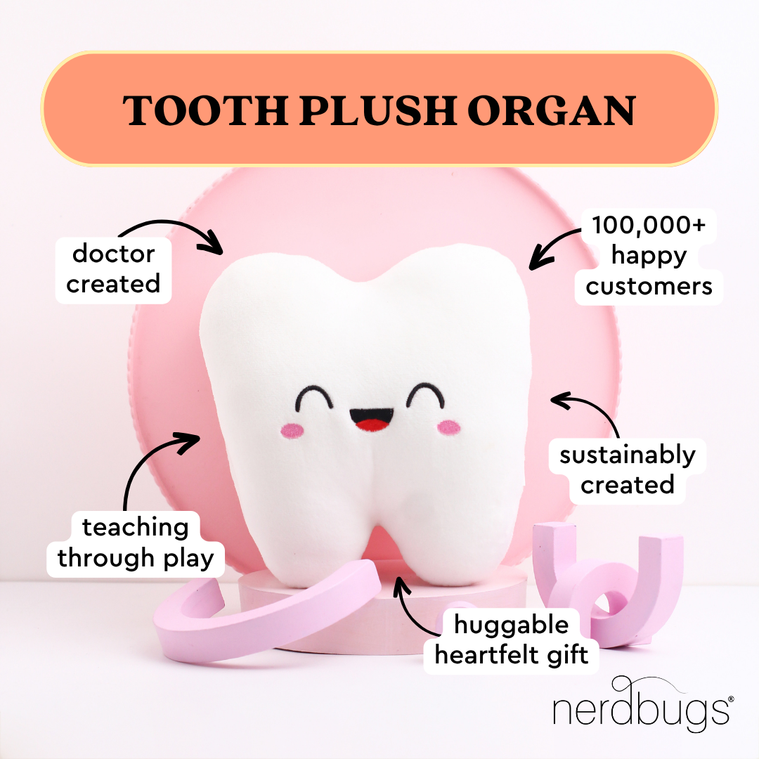 Tooth Plush Organ- Nerdbugs Tooth Plushie Organ-The molar the merrier!