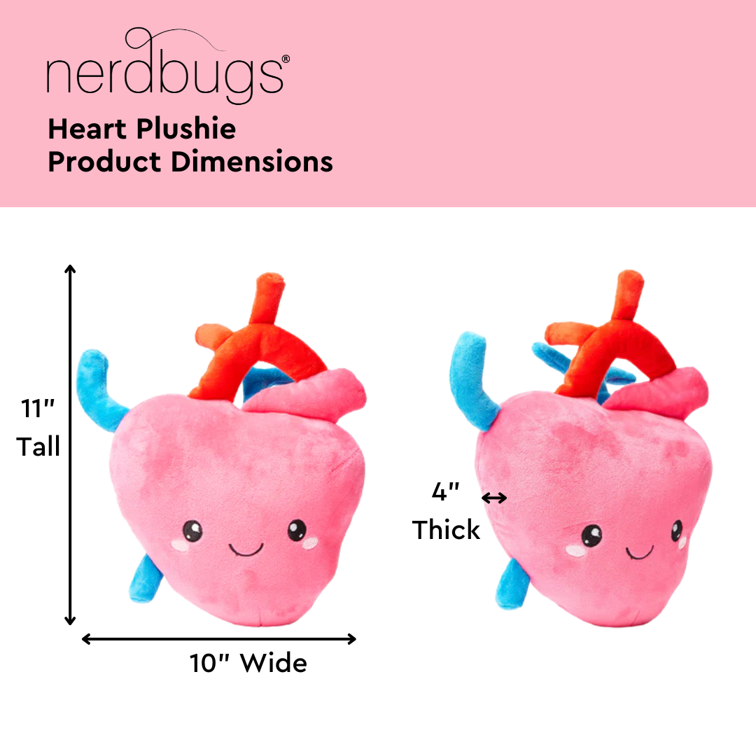 Heart, Lungs, Brain, Eye, & Tooth Bundle - Newborn Bundle of Joy