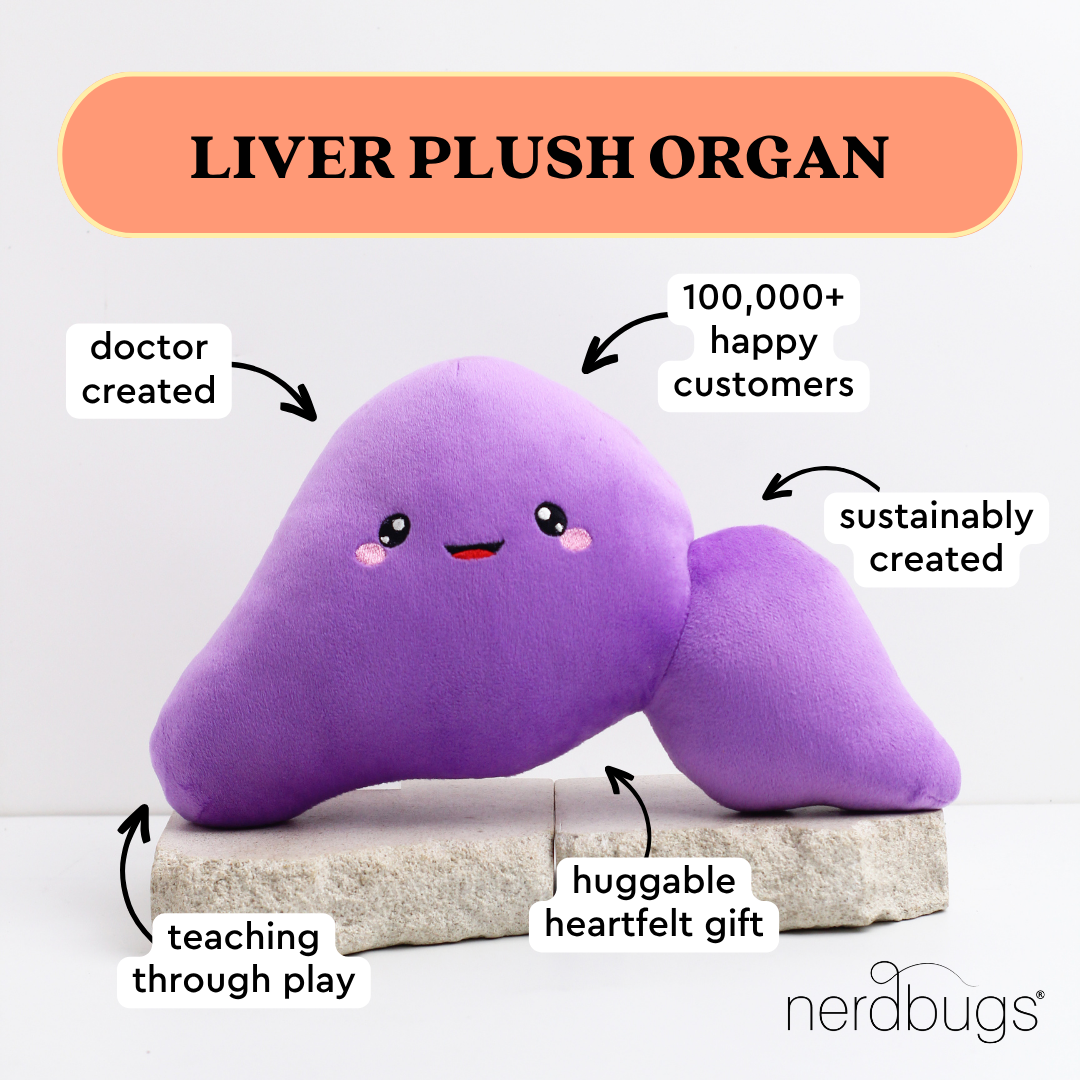 nerdbugs liver plush organ with labels doctor created teaching through play sustainably created huggable heartfelt gift 100000 plus happy customers