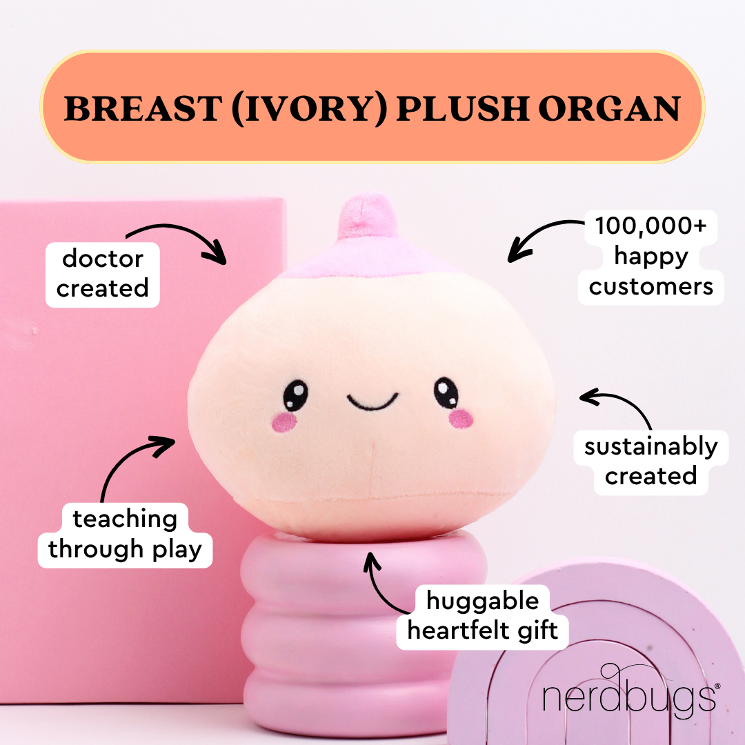 Breast Plush Organ - Breast is yet to come!