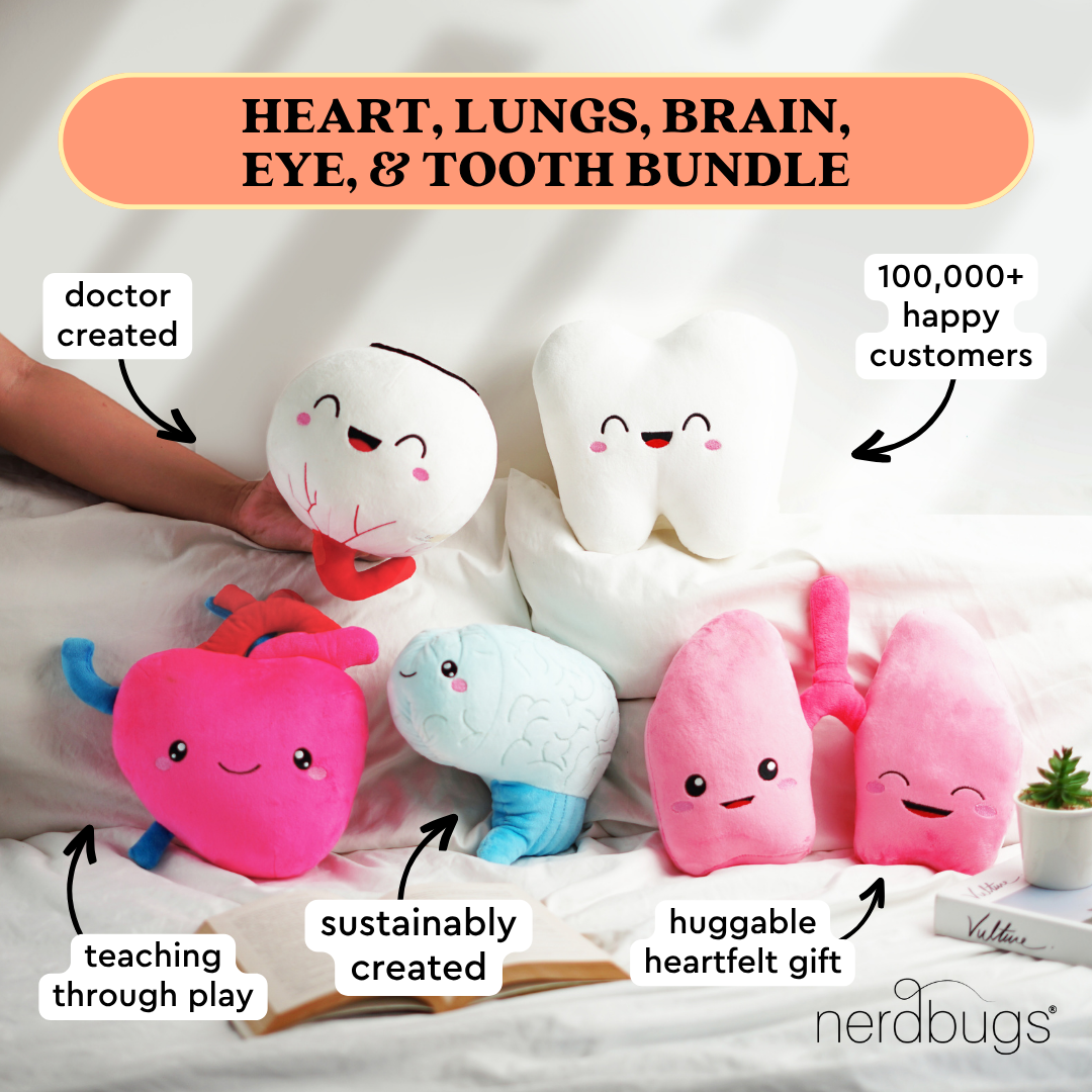 nerdbugs heart lungs brain eye tooth bundle plushies